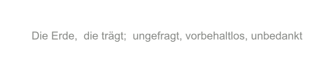 Sybille-Fenzel-Poesie-Die-Erde